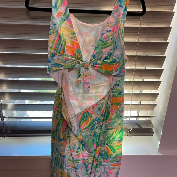 Lilly Pulitzer dress! - Picture 3 of 3